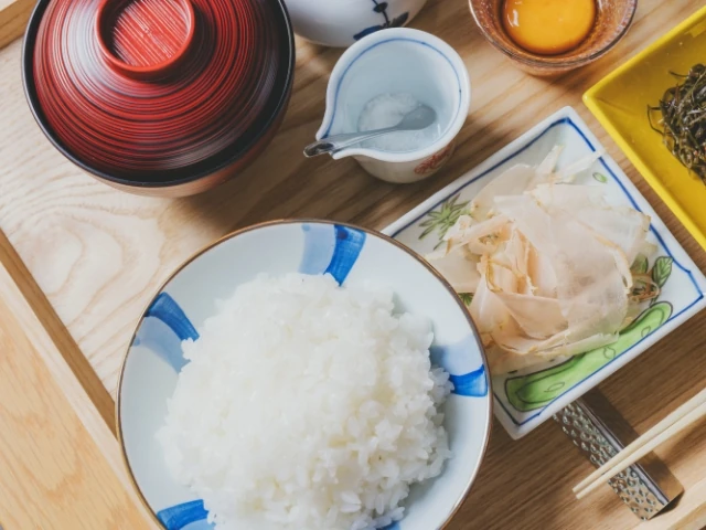 ご飯と削り節を並べた定食