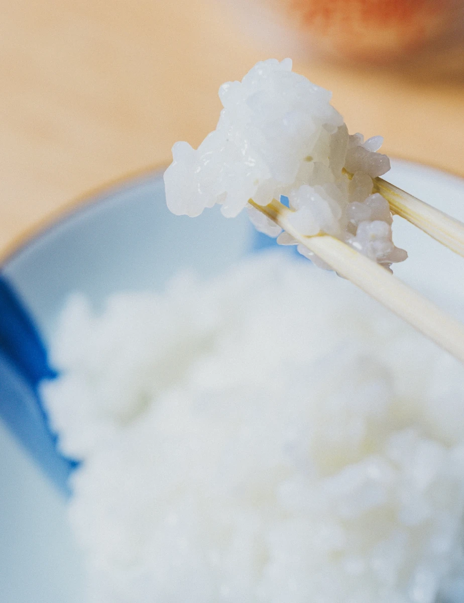 箸で持ち上げた炊きたての白ご飯